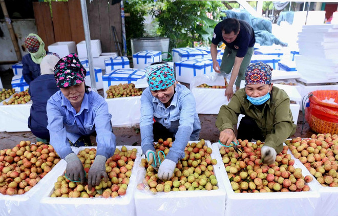 Le Vietnam dispose de nombreuses opportunités d'affaires avec Singapour ảnh 1 Le Vietnam dispose de nombreuses opportunités d'affaires avec Singapour ảnh 1