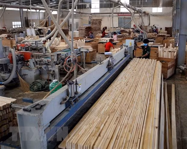 Les exportations de produits sylvicoles ciblent 12,5 milliards de dollars en 2020 ảnh 1