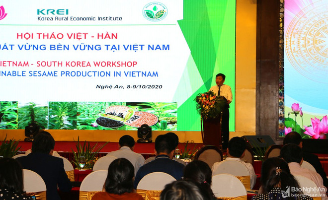 Vietnam et République de Corée coopèrent dans la production du sésame ảnh 1 Vietnam et République de Corée coopèrent dans la production du sésame ảnh 1