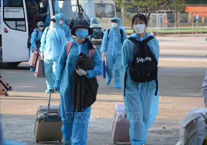 COVID-19: Pas de nouveau cas de transmission locale pour le 44e jour consécutif ảnh 1