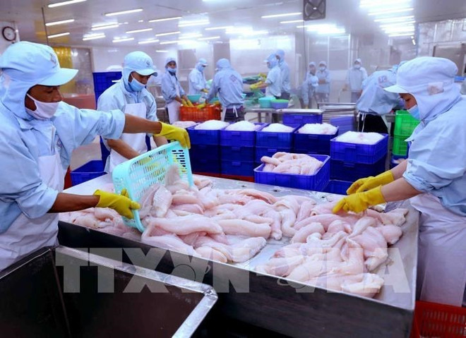 Promotion du commerce et de l'investissement entre le Vietnam et l'Allemagne ảnh 1