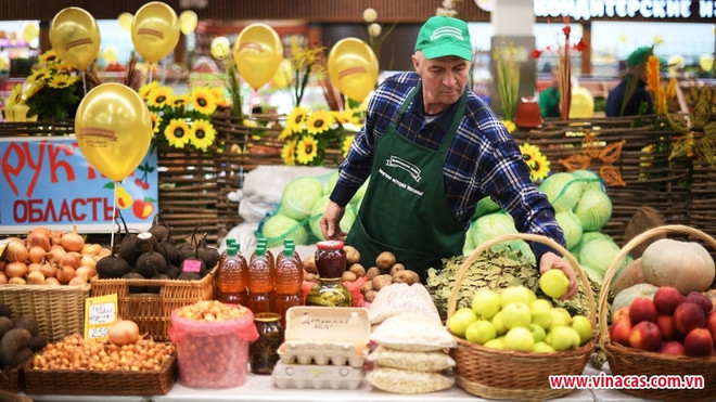 Large accès au marché russe pour les exportations vietnamiennes ảnh 1