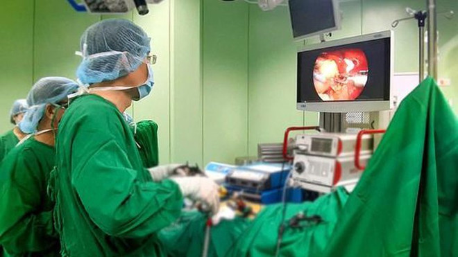 Trois scientifiques vietnamiens récompensés par le Prix Alexandre Yersin ảnh 1