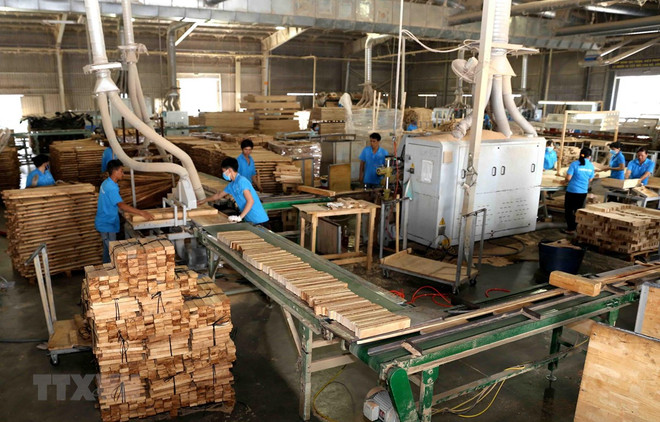 Les exportations de produits sylvicoles en hausse de 16% au premier trimestre ảnh 1 Les exportations de produits sylvicoles en hausse de 16% au premier trimestre ảnh 1