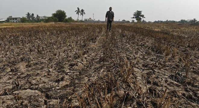 La Thaïlande face à une grave pénurie d'eau ảnh 1 La Thaïlande face à une grave pénurie d'eau ảnh 1