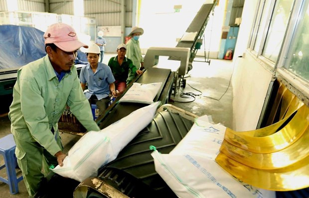 Le Myanmar exporte 1,64 million de tonnes de riz dans la première moitié de l'exercice 2019-2020 ảnh 1 Le Myanmar exporte 1,64 million de tonnes de riz dans la première moitié de l'exercice 2019-2020 ảnh 1