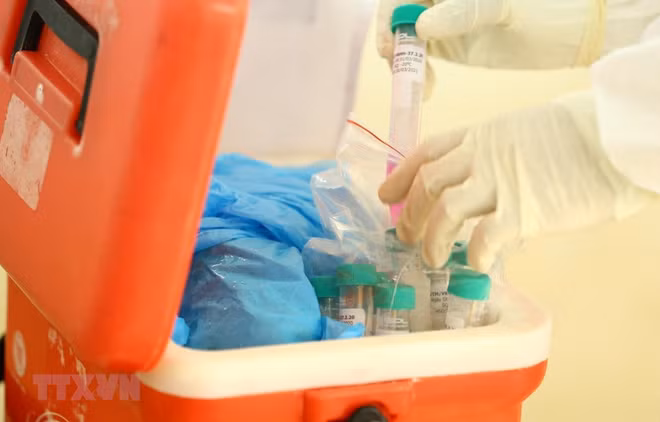 COVID-19: le Vietnam confirme le 11e décès ảnh 1