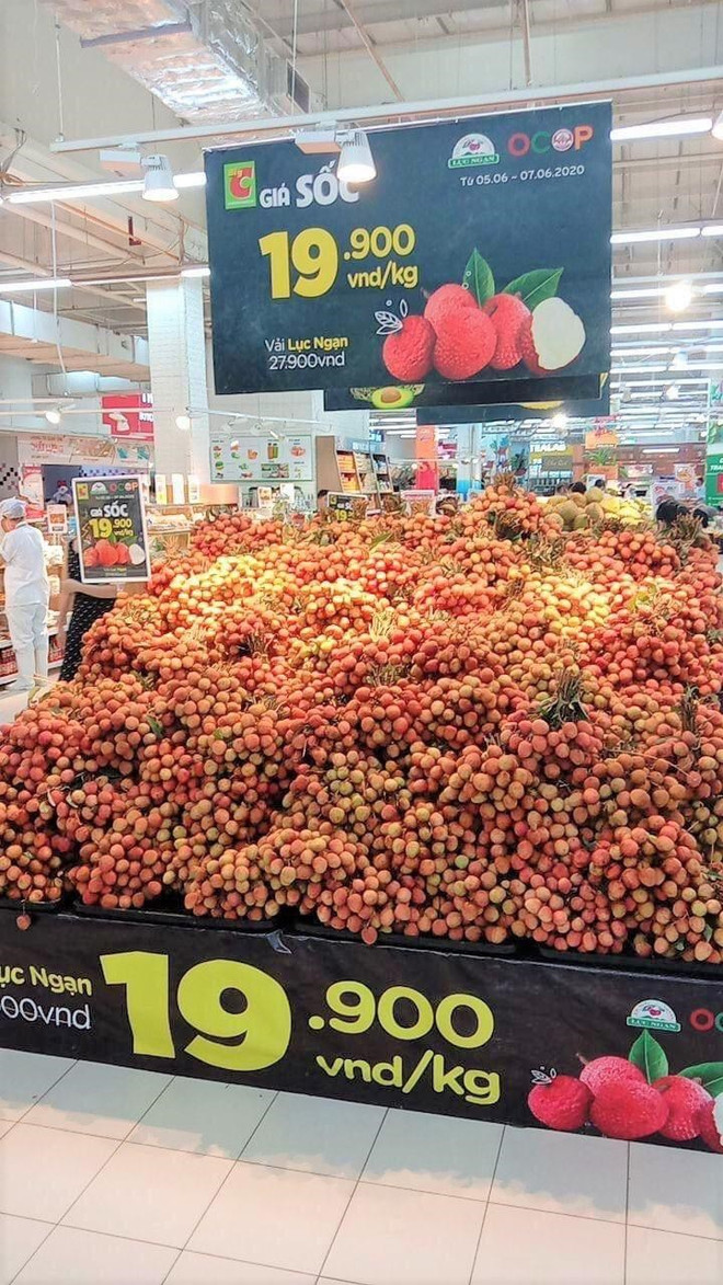 Le thaïlandais Central Retail commercialisera 1.000 tonnes de litchis de Bac Giang ảnh 1 Le thaïlandais Central Retail commercialisera 1.000 tonnes de litchis de Bac Giang ảnh 1