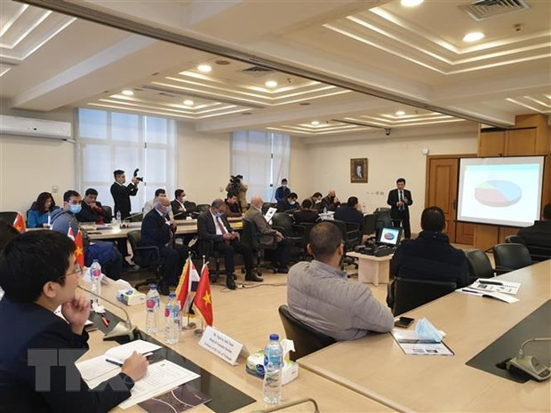 Renforcement de la coopération économique entre le Vietnam et l'Égypte ảnh 1 Renforcement de la coopération économique entre le Vietnam et l'Égypte ảnh 1