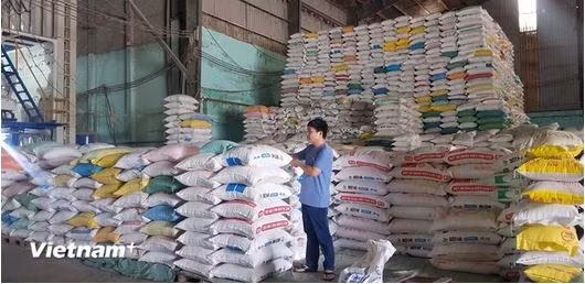 Le Vietnam, un "acteur clé" de l’agriculture mondiale ảnh 1