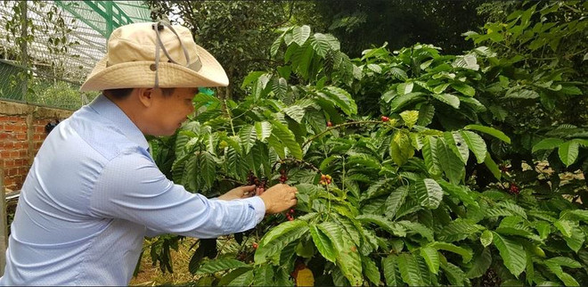 Le Vietnam, un "acteur clé" de l’agriculture mondiale ảnh 2 Le Vietnam, un "acteur clé" de l’agriculture mondiale ảnh 2