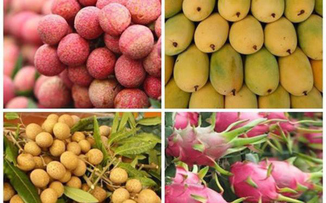 Les exportations de fruits et légumes du Vietnam devrait dépasser 4 milliards de dollars ảnh 1 Les exportations de fruits et légumes du Vietnam devrait dépasser 4 milliards de dollars ảnh 1