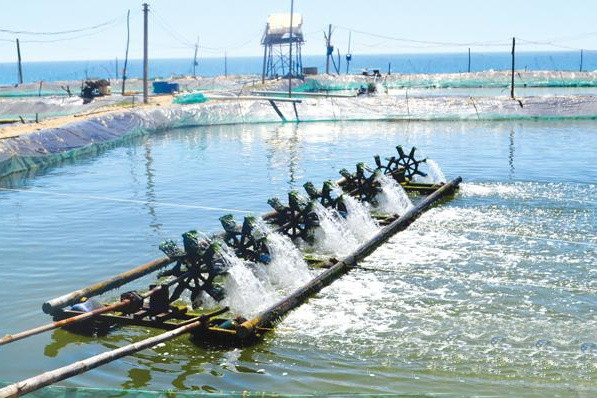 Deuxième phase du projet de protection des eaux souterraines au Vietnam ảnh 1 Deuxième phase du projet de protection des eaux souterraines au Vietnam ảnh 1