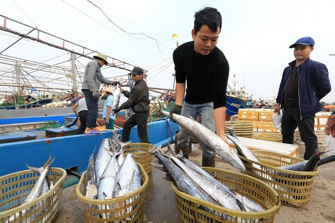 Aquaculture : les exportations en 2018 pourrait atteindre neuf milliards de dollars ảnh 2 Aquaculture : les exportations en 2018 pourrait atteindre neuf milliards de dollars ảnh 2