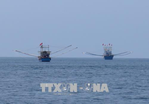 Des percées dans la gestion des ressources maritimes ảnh 1 Des percées dans la gestion des ressources maritimes ảnh 1