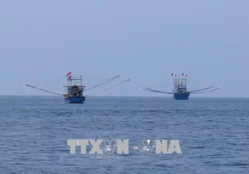 Des percées dans la gestion des ressources maritimes ảnh 1