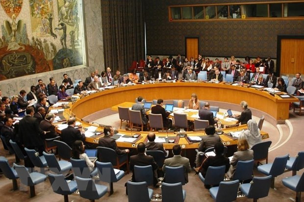 Un correspondant américain souhaite voir le Vietnam redevenir membre du Conseil de sécurité de l’ONU ảnh 1