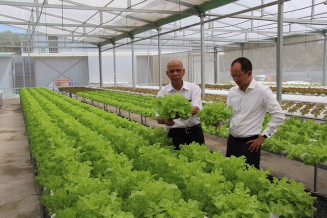 Le premier Forum économique global pour les Vietnamiens d’outre-mer en R. de Corée ảnh 1 Le premier Forum économique global pour les Vietnamiens d’outre-mer en R. de Corée ảnh 1