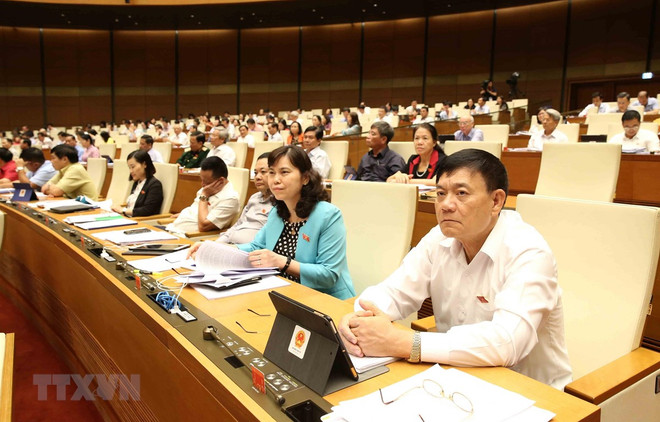 AN : Les députés discutent de trois projets de lois ảnh 1 AN : Les députés discutent de trois projets de lois ảnh 1