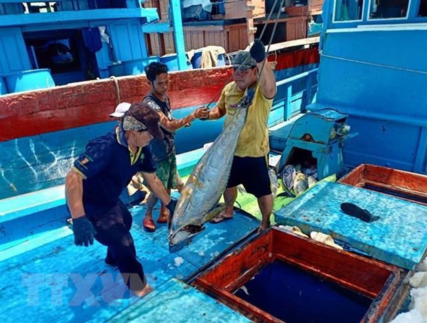 Le Vietnam souhaite un développement durable de la mariculture ảnh 1 Le Vietnam souhaite un développement durable de la mariculture ảnh 1