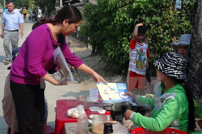 Renforcement des mesures préventives contre le virus Zika et des maladies estivales ảnh 1