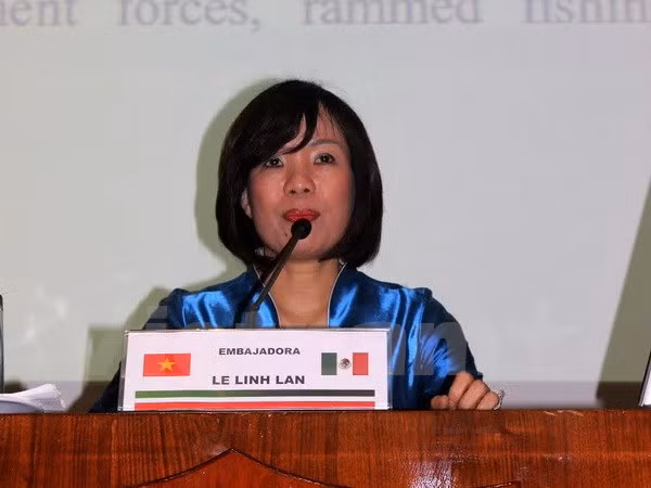 La Mer Orientale abordée à une causerie à l'Institut de la Défense au Mexique ảnh 1 La Mer Orientale abordée à une causerie à l'Institut de la Défense au Mexique ảnh 1