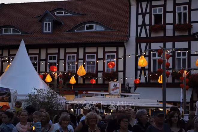 Les lanternes de Hôi An illuminent des rues allemandes ảnh 1