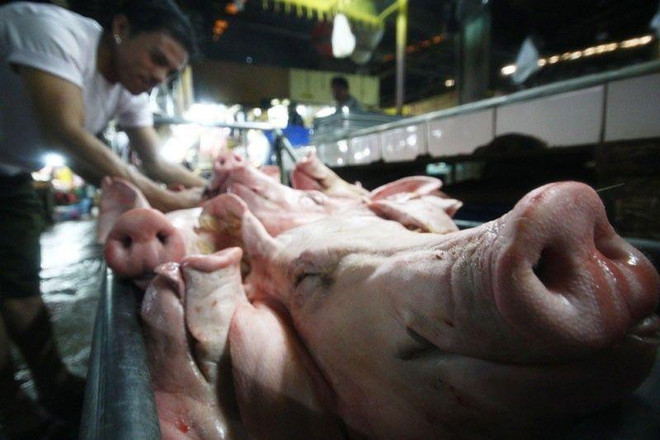 Les Philippines élargissent l'interdiction d'importer des produits à base de viande de porc ảnh 1 Les Philippines élargissent l'interdiction d'importer des produits à base de viande de porc ảnh 1
