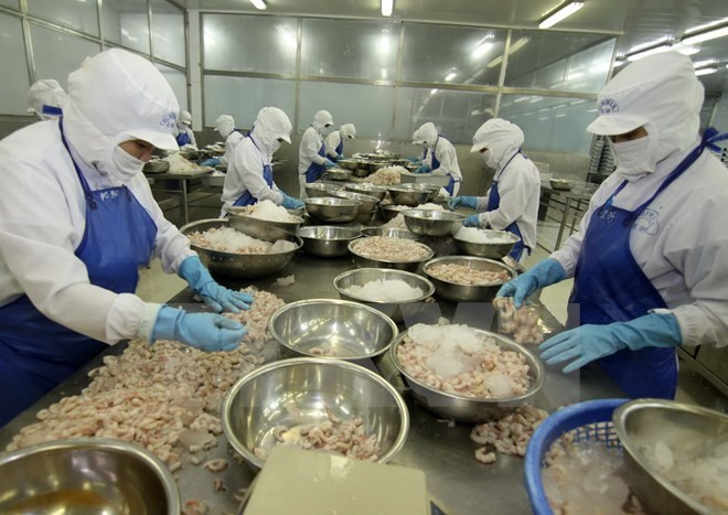 Record des exportations vietnamiennes vers le Mexique ảnh 1