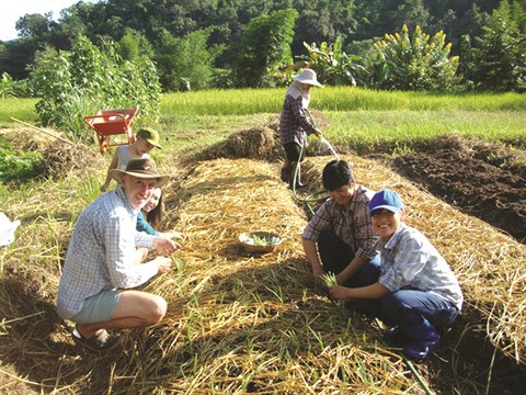 COVID-19 : des enseignants étrangers poussés au chômage technique ảnh 2 COVID-19 : des enseignants étrangers poussés au chômage technique ảnh 2