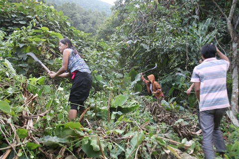 Le COVID-19 augmente la pauvreté transitoire au Vietnam ảnh 1