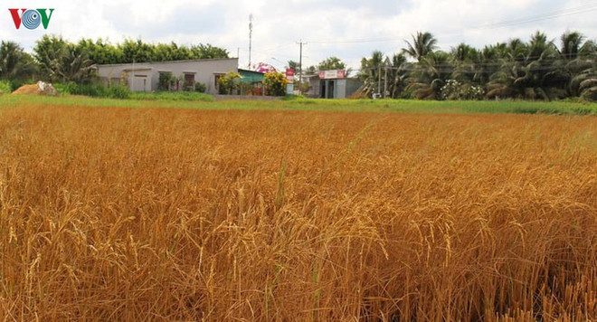 Changement climatique : anticiper, s’adapter… ảnh 1