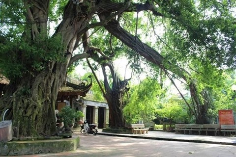 Phô Hiên, le célèbre site historique de Hung Yên ảnh 2 Phô Hiên, le célèbre site historique de Hung Yên ảnh 2