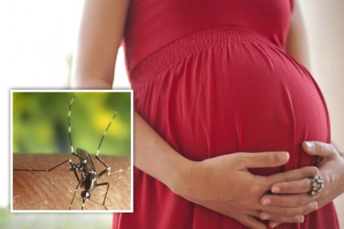 Une nouvelle femme enceinte à Ho Chi Minh-Ville infectée par le Zika ảnh 1 Une nouvelle femme enceinte à Ho Chi Minh-Ville infectée par le Zika ảnh 1