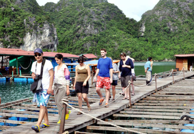 Quang Ninh dénombre 7,3 millions de touristes en 10 mois ảnh 1 Quang Ninh dénombre 7,3 millions de touristes en 10 mois ảnh 1