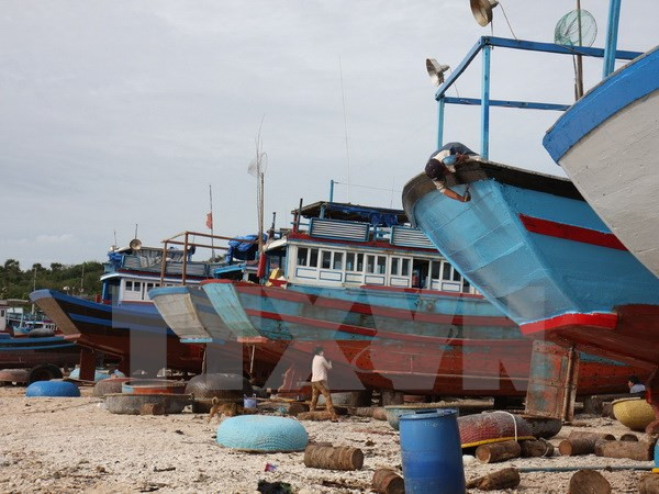 Les députés discutent de la restructuration de l'économie nationale et de la production agricole ảnh 2 Les députés discutent de la restructuration de l'économie nationale et de la production agricole ảnh 2