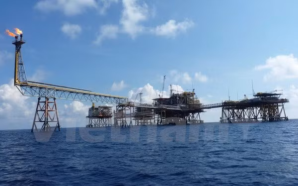 Pétrole : PVN dépasse le plan d'exploitation fixé par le gouvernement ảnh 1