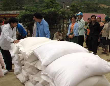 Aide en riz pour six districts pauvres de la province de Ha Giang ảnh 1
