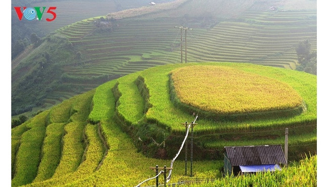 Yên Bai s’apprête à accueillir la Semaine de la culture et du tourisme de Muong Lo 2017 ảnh 1 Yên Bai s’apprête à accueillir la Semaine de la culture et du tourisme de Muong Lo 2017 ảnh 1