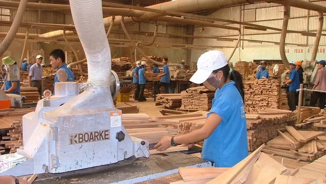 De belles perspectives pour les exportations de bois en 2019 ảnh 1