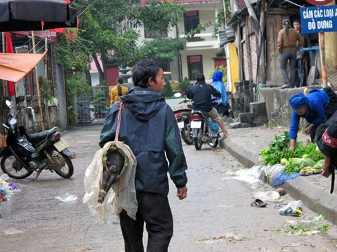 Le cochon qui se porte sous le bras, spécialité du Tây Bac ảnh 1