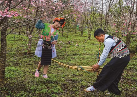 Les H’mông recherchent un second souffle pour leur orgue à bouche ảnh 1 Les H’mông recherchent un second souffle pour leur orgue à bouche ảnh 1