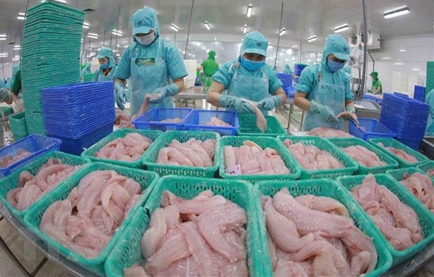 Plusieurs entreprises de pangasius ne sont pas visées par des droits antidumping ảnh 1 Plusieurs entreprises de pangasius ne sont pas visées par des droits antidumping ảnh 1