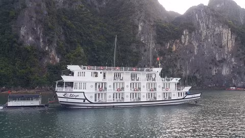 Quang Ninh cherche à améliorer la qualité des navires de croisières ảnh 1