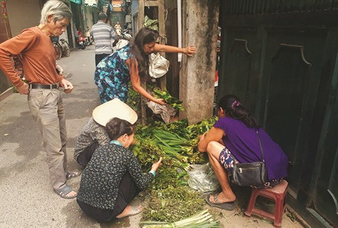 Le dernier jardin médicinal de Dai Yên ảnh 2 Le dernier jardin médicinal de Dai Yên ảnh 2