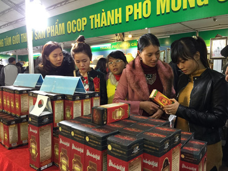 Activités à l’occasion du Tet à Quang Ninh et Long An ảnh 1