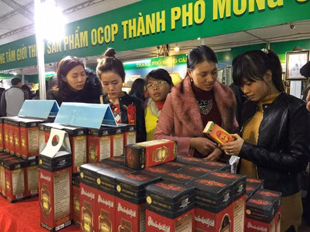 Activités à l’occasion du Tet à Quang Ninh et Long An ảnh 1