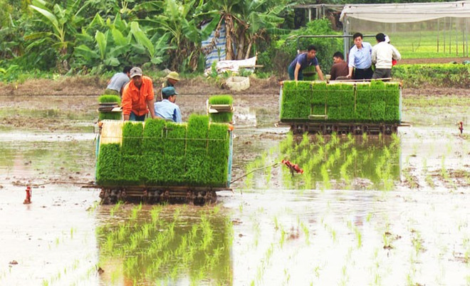 Pour rehausser la valeur des produits agricoles nationaux ảnh 1 Pour rehausser la valeur des produits agricoles nationaux ảnh 1