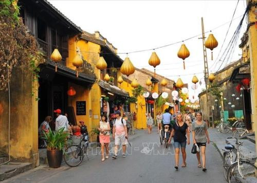 Des visites dans les destinations touristiques de plusieurs localités suspendues ảnh 1 Des visites dans les destinations touristiques de plusieurs localités suspendues ảnh 1