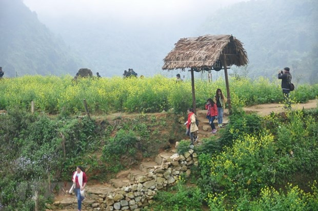 Sept destinations incontournables à Sa Pa ảnh 4 Sept destinations incontournables à Sa Pa ảnh 4